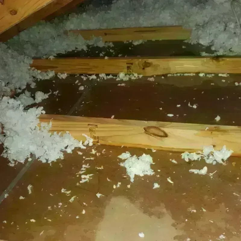 Attic Water Damage in Wagner, SD